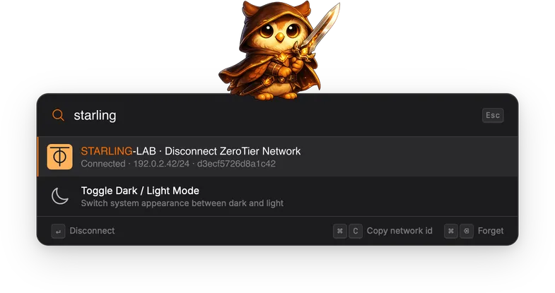 Typing 'starling' showing the connected STARLING-LAB network with its address and network ID